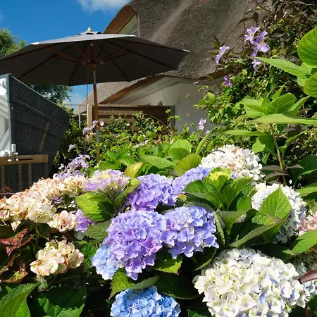 Lille Hygge 아파트 카이톰